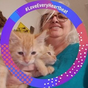 Meet your Posher, Traci